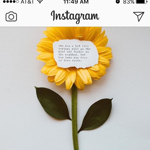 Meet your Posher, Martina - Picture 2 of 6